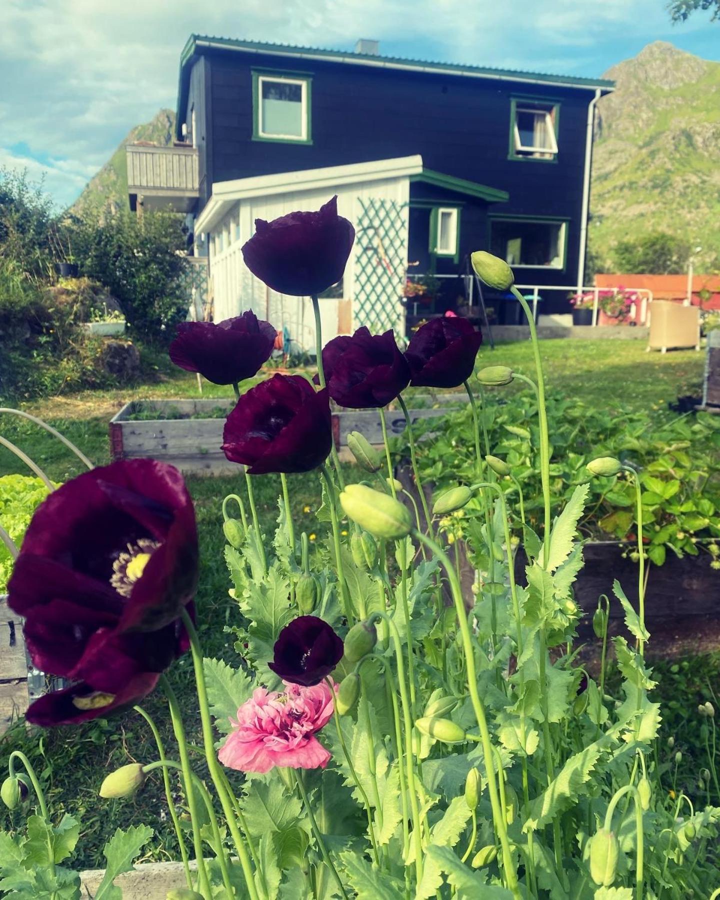 Valberg Gjestegard Esterno foto
